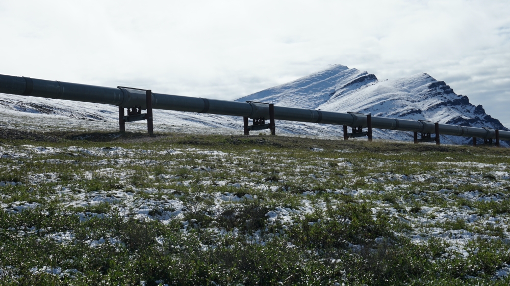 An example of infrastructure that is founded on soil with permafrost. A pipeline system for transporting oil through the Alaskan wilderness. Photo: Moritz Langer/AWI
