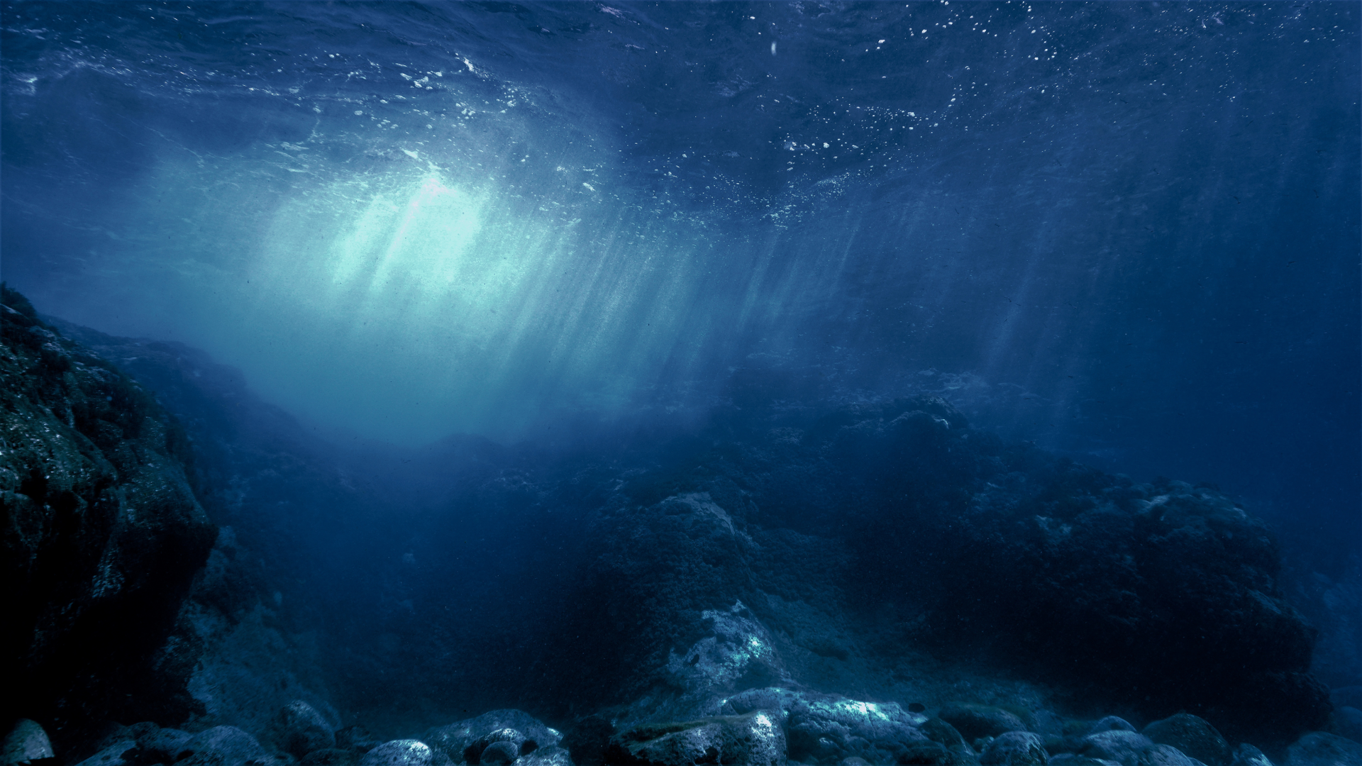 The seafloor of the world’s oceans is covered by seamounts. Most of them have a volcanic origin. Photo: Johan Holmdahl/iStock