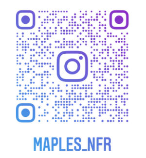 Maple nametag QR-kode Instagram