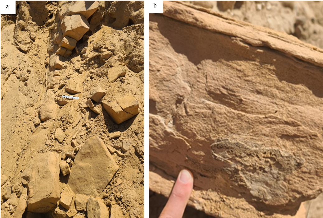 Image may contain: Bedrock, Formation, Sand, Landscape, Wood.