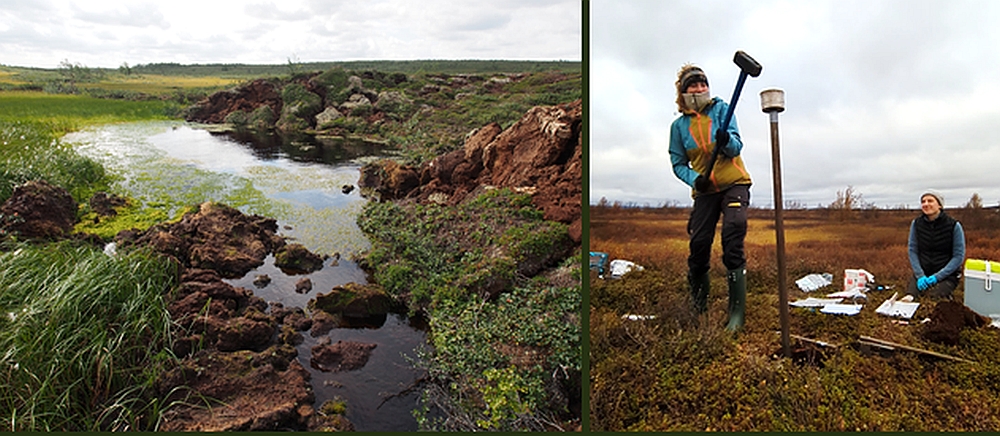 Picture permafrost in peatland in Norway: Picture left: Thawing permafrost peat mound collapsing in a newly formed pond in a permafrost peatland in Finnmark, Norway. Picture right: Anfisa Pismeniuk (right) and Clarissa Willmes taking permafrost samples during joint fieldwork of PEAT-THAW, ACT-Pilot and BioGov in fall 2023. Photo: Project own
