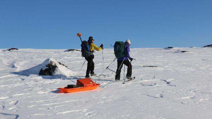 Photo from fieldwork: It is important to find the right position for the drone flight. Master's student Zhihao Liu and postdoctoral fellow Livia Piermattei locate the best spot. Photo: Eivind Torgersen, UiO