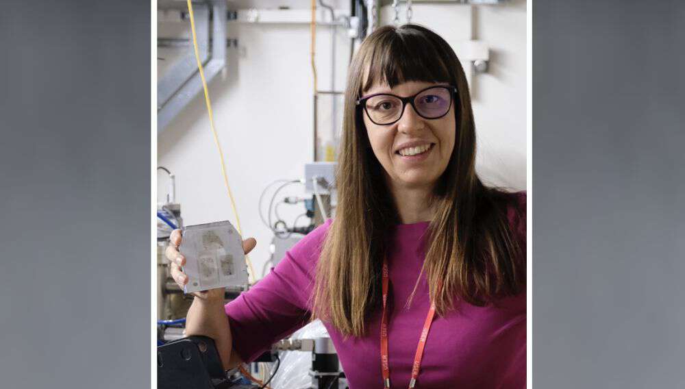 Photo: Dr. Sara Callegaro, Professor at University of Bologna.