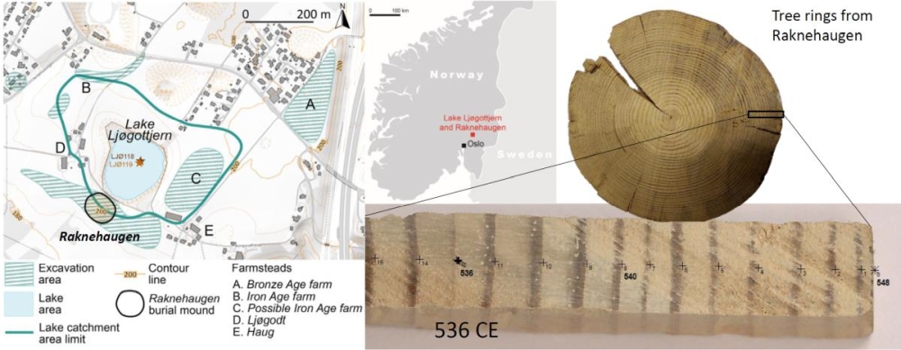 Image/figure: Location of Raknehaugen burial mound and Lake Ljøgottjern, and tree rings from Raknehaugen. The ring from 536 CE is almost invisible, suggesting that the tree didn’t grow in the summer due to climate cooling following the 536 CE volcanic eruption. VIKINGS : Volcanic Eruptions and Their Impacts on Climate, Environment and Viking Society from 500 to 1250 Common Era