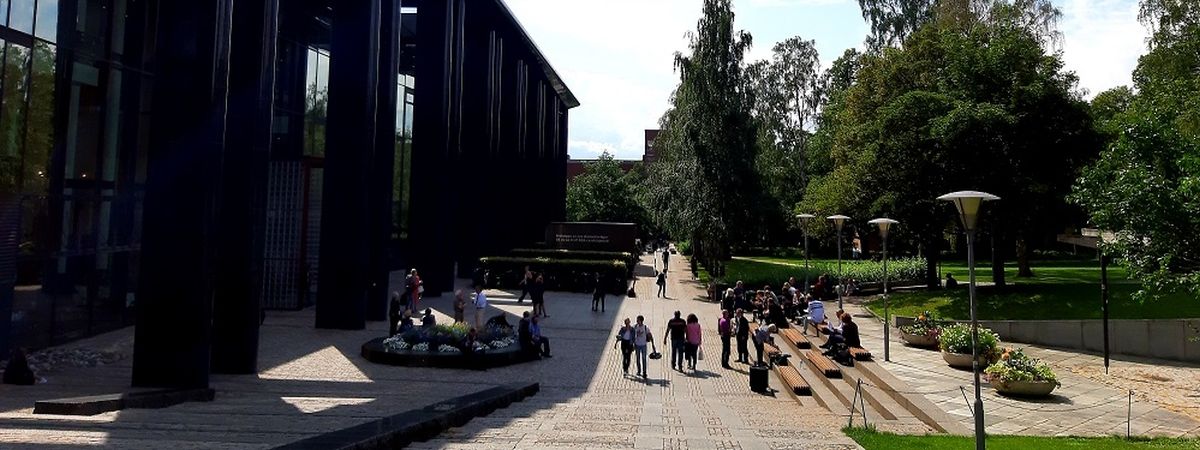 Life around the studies, Department of Geosciences, UiO, photo of students outside the University Library at Blindern on a warm summer day.