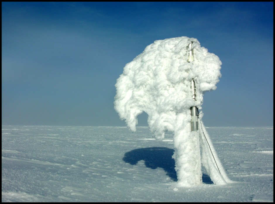 Stakene på toppen av Austfonna brukes for massebalansemålinger og må tåle mye rimdannelser i løpet av vinteren. (Foto: Thorben Dunse, UiO)