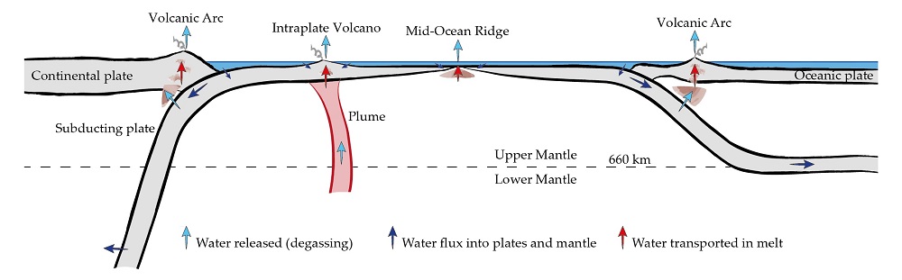 Figure: Earth’s deep water cycle - how water is exchanged between Earth’s mantle and surface. Credit: Valentina Magni