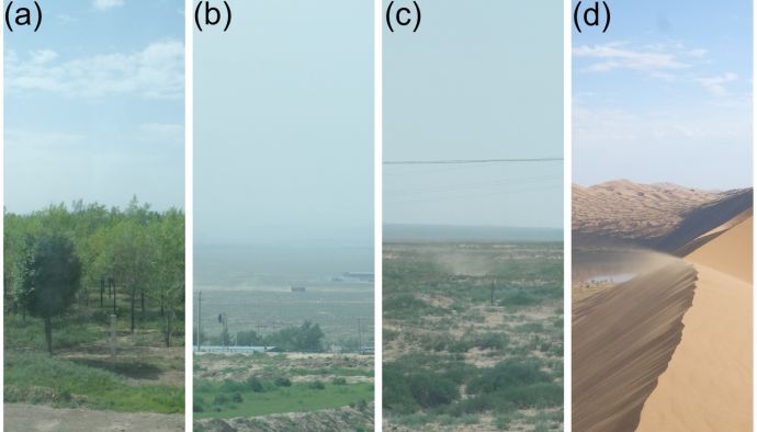 Figure showing the variability of the dust landscape. Panel (a) Reforestation to mitigate dust mobilization. Panel (b) Human influenced dust emissions (land use change). Panel (c) Dust devil over a semi arid landscape. Panel (d) Hyper arid natural desert environment. Credit figure: Ove Haugvaldstad
