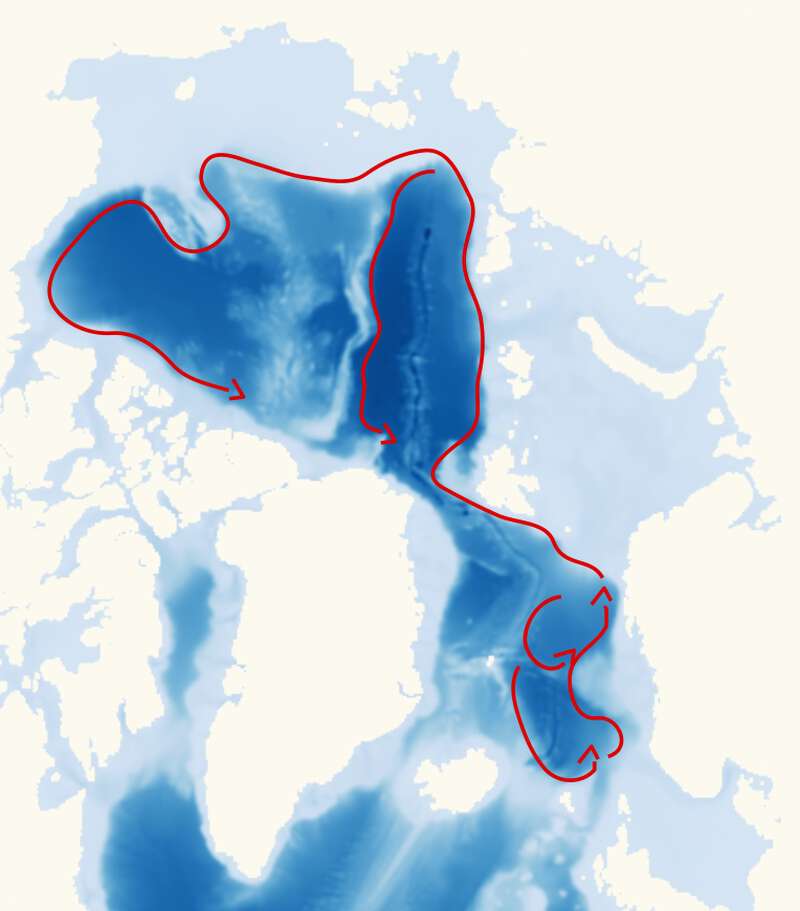 The seafloor topography of the Arctic Ocean, as represented in numerical simulations. Darker blue shades indicate the deep basins, which can extend more than 4000 meters down, while lighter blue shades indicate the shallower shelf areas, only a few hundred meters deep. Red arrows illustrate currents that are steered by continental slopes and underwater ridge systems. Credit: Anna Lina P. Sjur