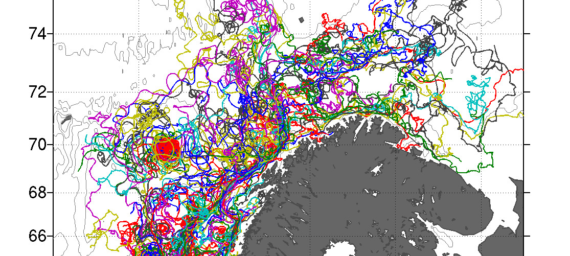 Poleward-drift trajektorier ved kysten utenfor Nord-Norge. Figur: Inga Koszalka, UiO
