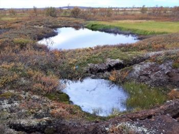 Tinende permafrost og termokarstprosesser har dannet dammer i dette torvlandskapet i Nord-Norge. Foto: Sebastian Westermann