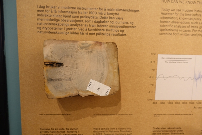 Foto: Klimaendringar i fortida før 1900 måles bl.a. ved av å studera årringar i gamle trestammer. Årringar er vekstlag i træ og buskar som er synlege som sirklar i tverrsnitt av stammene.