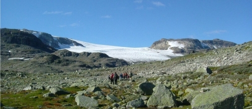 Feltarbeid er viktig innenfor geofag, her er studenter på vei innover mot Hardangerjøkulen (Middalsbreen), Finse for å se isbreens krefter som former landskapet. Foto: Institutt for geofag