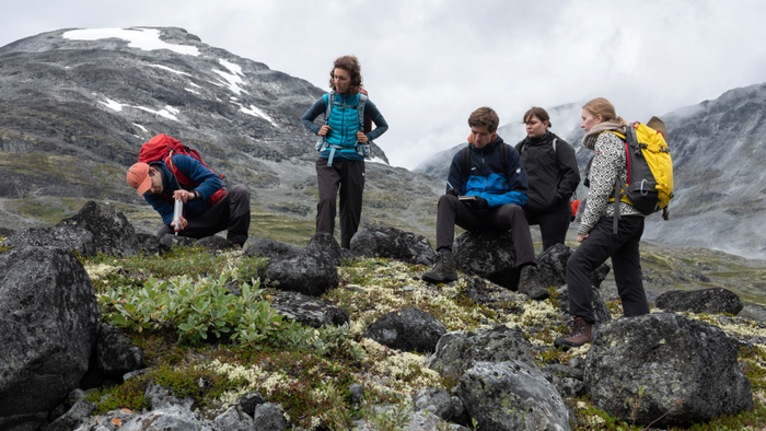 Foto: Postdoktor Henning Åkesson og studenter fra Institutt for geofag tar målinger av morenestein foran Storbreen. Instrumentet de bruker måler hardhet i steinen, og på bakgrunn av det er det mulig å anslå hvor lenge den har vært eksponert for forvitring i vær og vind. Foto: Simen Kjellin/UiO