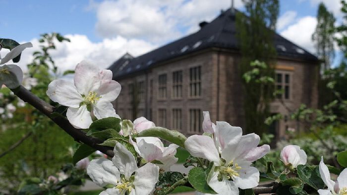 Studentutstillingen "bergArt" åpner 5. september og varer ut 2024. Ustillingen er i Brøggers hus, er en del av Naturhistorisk Museum/NHM/UiO. Foto: Gunn Kristin Tjoflot 