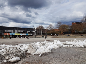 Snørik vinter: Siste rest av snødeponiet på Fredrikkeplassen, UiO låg til mai i år. Foto: Gunn Kristin Tjoflot