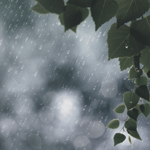 Den Lille istid medførte kjølige og regnfulle somrer opp i vår kjente nærtid. Illustrasjonsfoto: colourbox.com