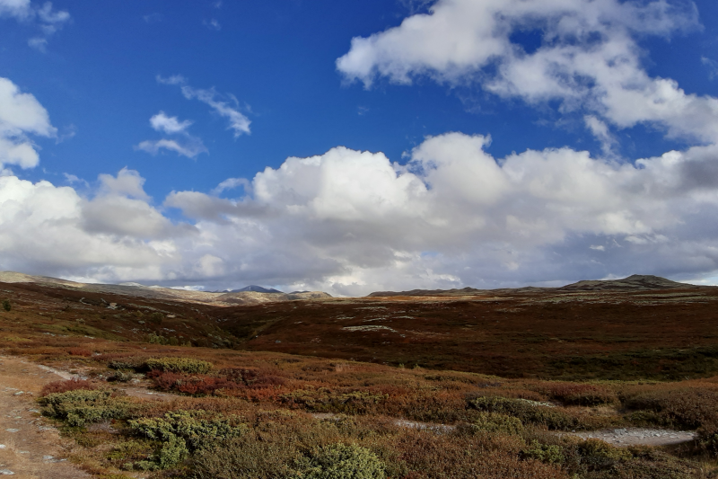 Rondane nasjonalpark er Norges fyrste nasjonalpark, etablert i 1962, og ligg i høgfjellet i Innlandet mellom Gudbrandsdalen og Atnadalen. Kva fortel landskapet oss? Foto: Gunn Kristin Tjoflot/GEO