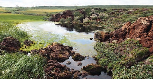 Permafrost prosesser i Nord Norge - Finnmark. Foto: Sebastian Westermann