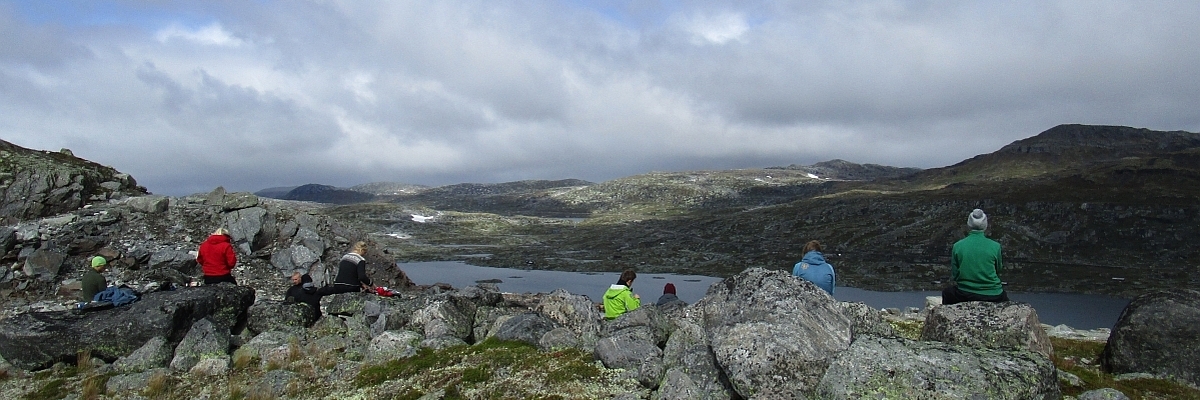 Field work and observations are widely used in teaching and working life in general within geosciences.