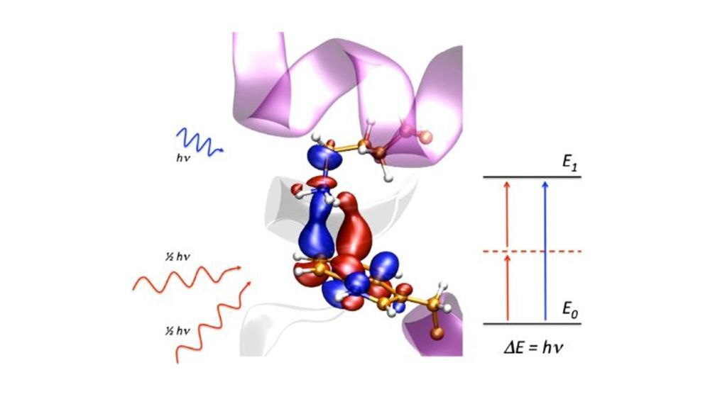 Illustration of the research done by the research team of the the interaction of matter with electromagnetic fields is one of the most important tools for unravelling the structure and properties of molecules and solids. 