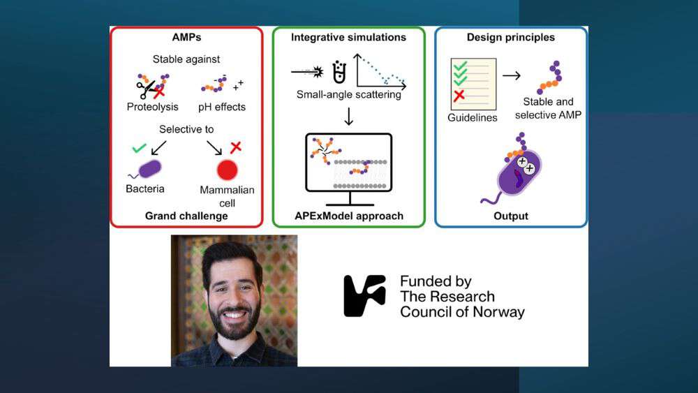 Project summary of "APExModel: Addressing Antimicrobial Peptides by Integrating Experiments into Modelling”, researcher Henrique Musseli Cezar and the grant funder The Research Council of Norway. 