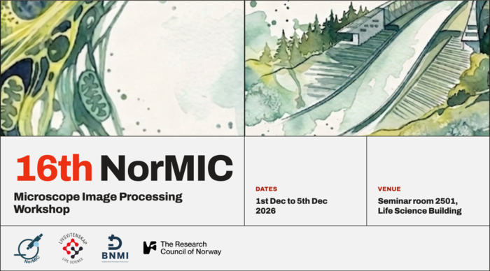 Poster image for the 16th NOrMIC workshop with logos
