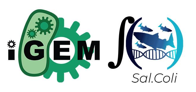 iGEM and Sal.coli logos