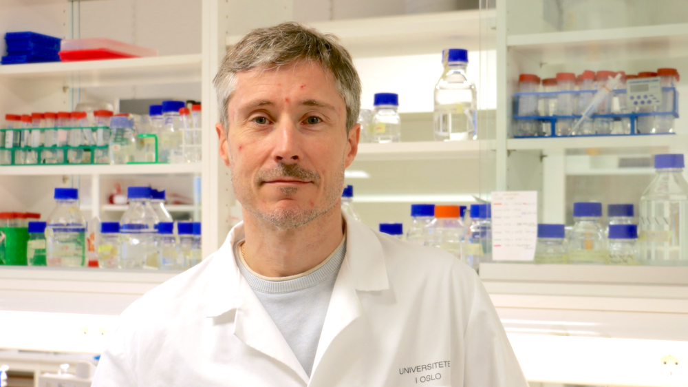 Man in lab