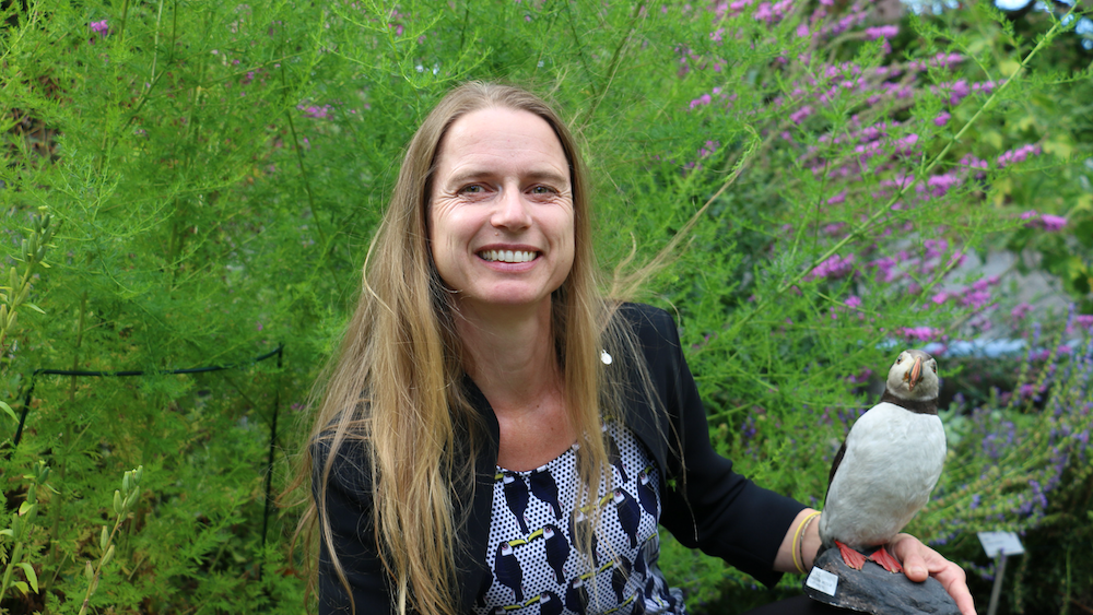 Woman holding a stuffed puffin in her hand