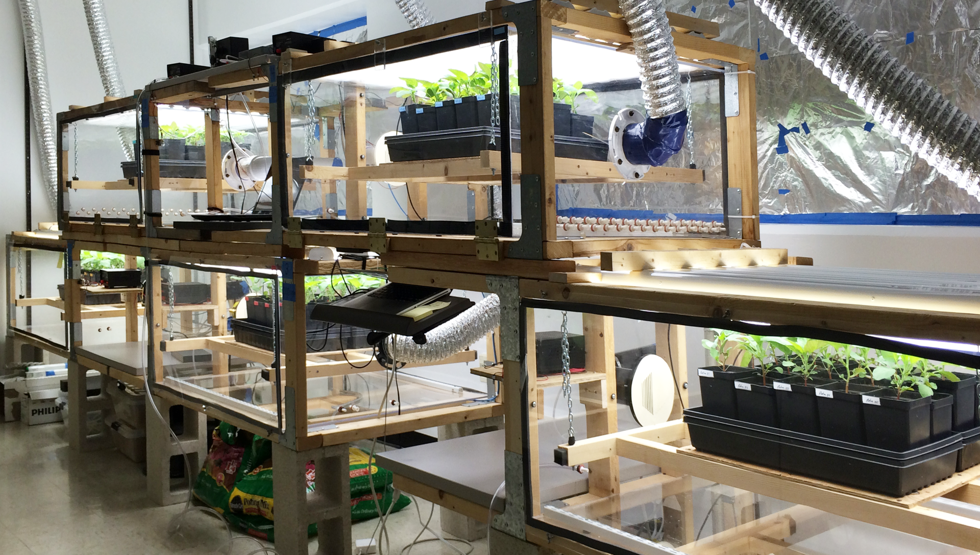 Plant growth chamber for elevated carbon dioxide studies