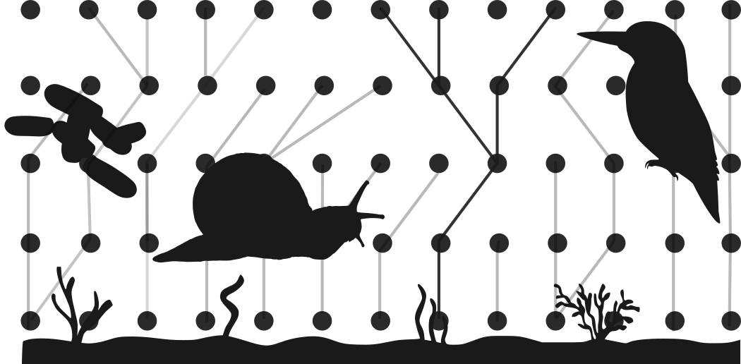 sort-hvit illustrasjon av snegle og fugl