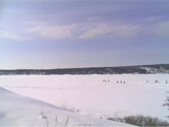 Fig 4) Ice fishing in the Oslofjord. The picture is from a webcam giving hourly updates on ice and snow conditions. Upward-looking echosounders cabled to shore send continuous information on fish and krill behavior underneath the ice.