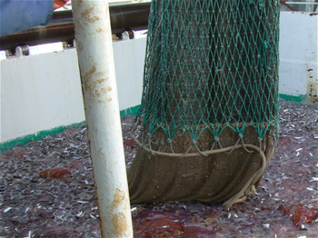 Wood ,Automotive tire ,Gas ,Wire fencing ,Rope.