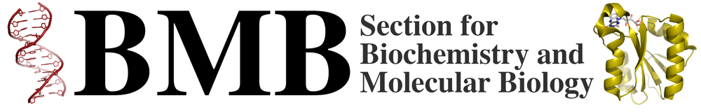 BMB logo