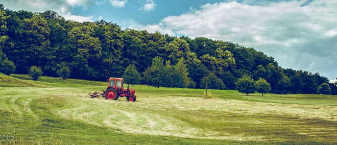 Photo of agriculture