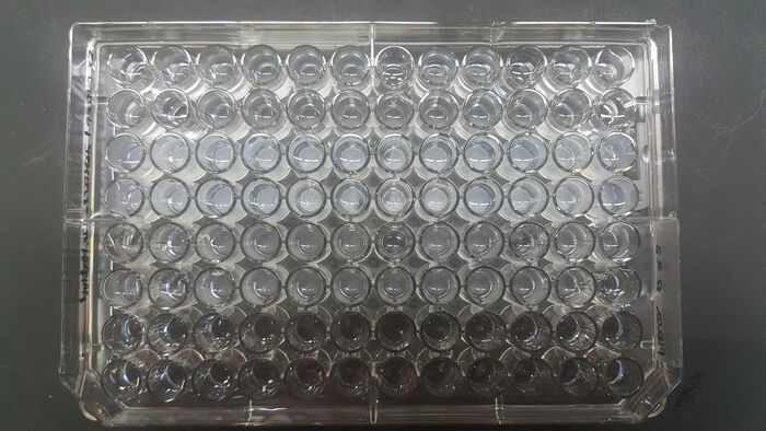 Microtitter, highthroughput-phenotyping