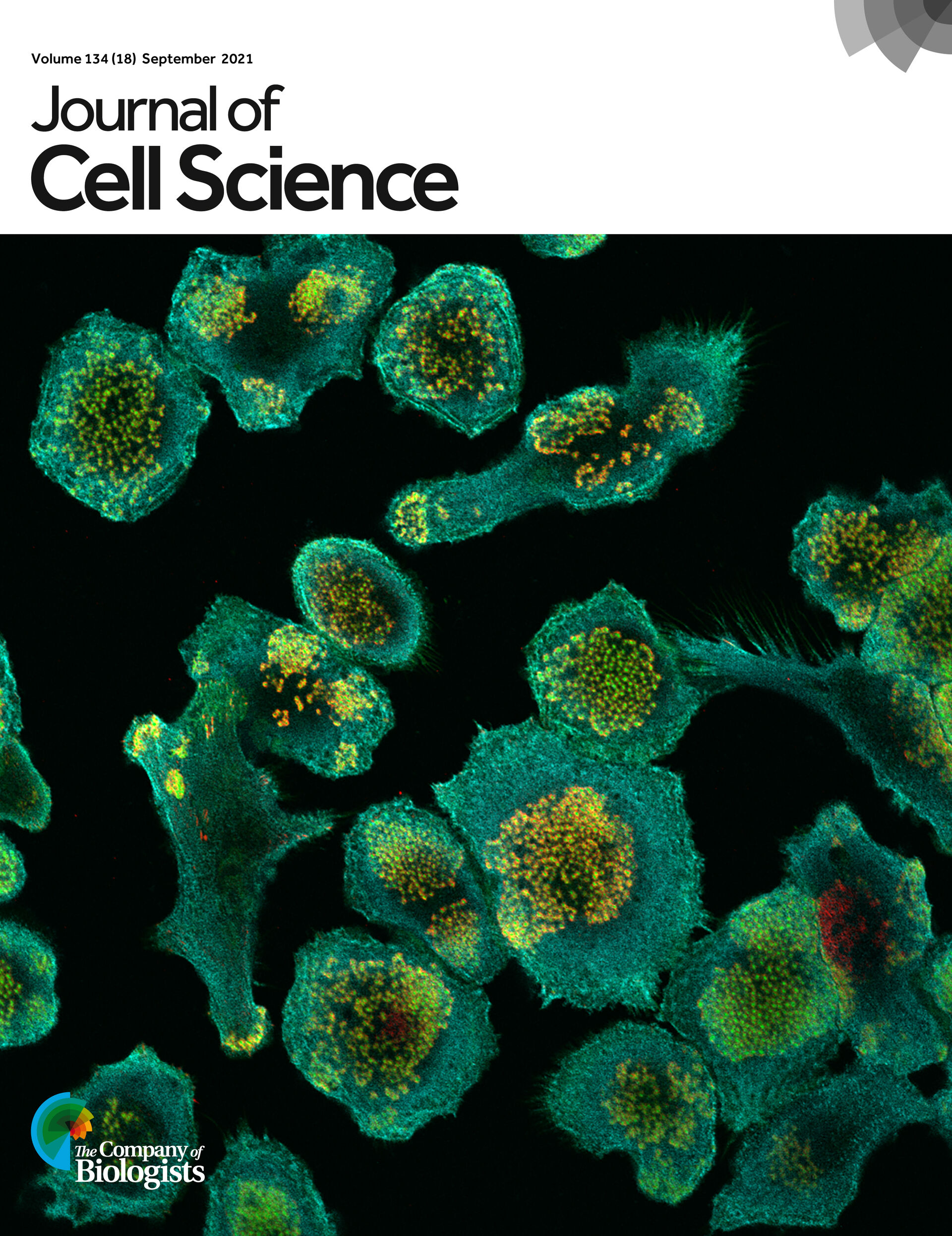 Cover of Journal of Cell Science by Vestre K. et al. (Volume 134, Issue 18 September 2021) 