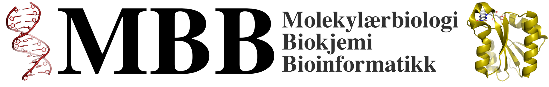 MBB logo