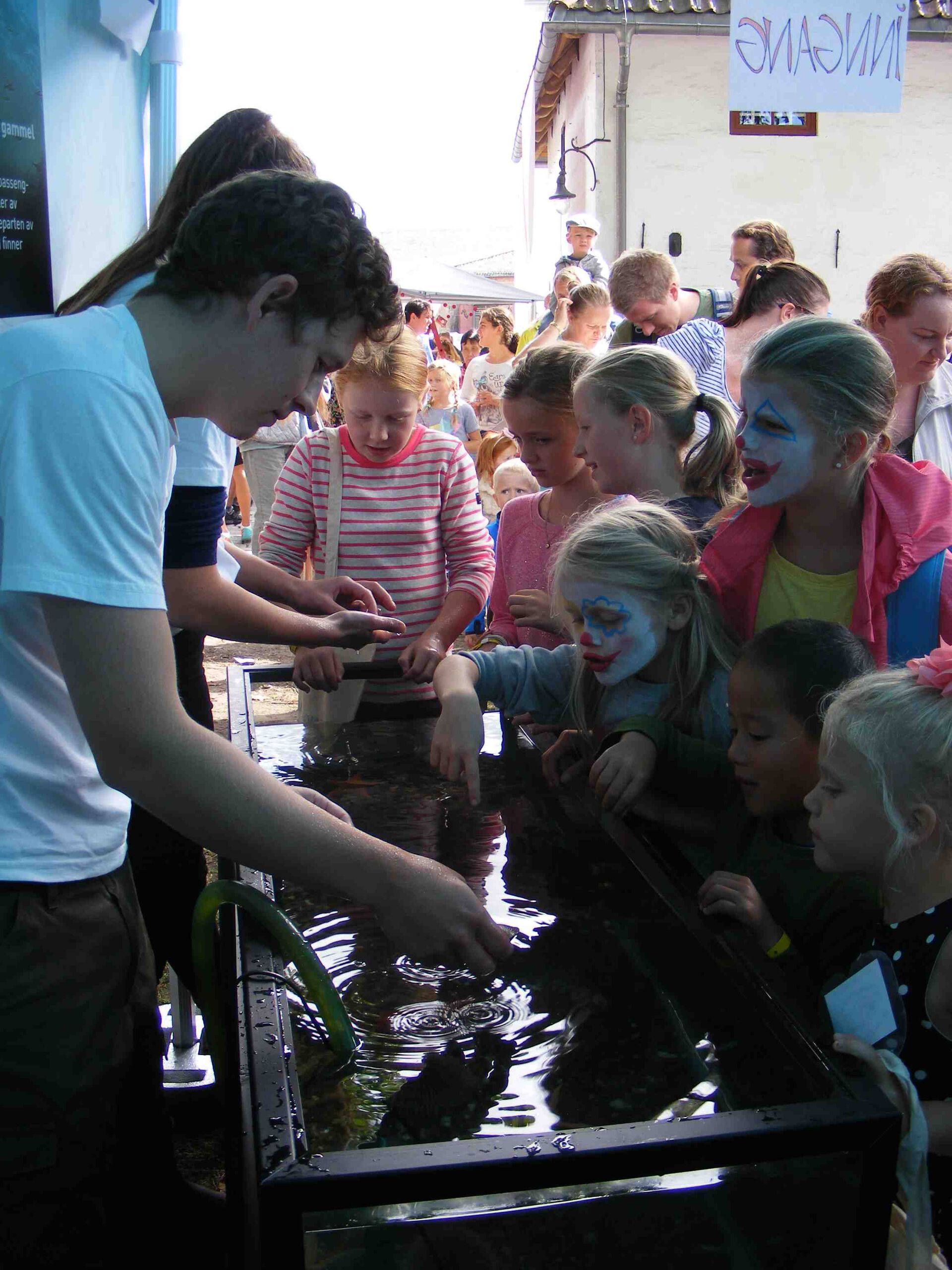 Children around aqvarium