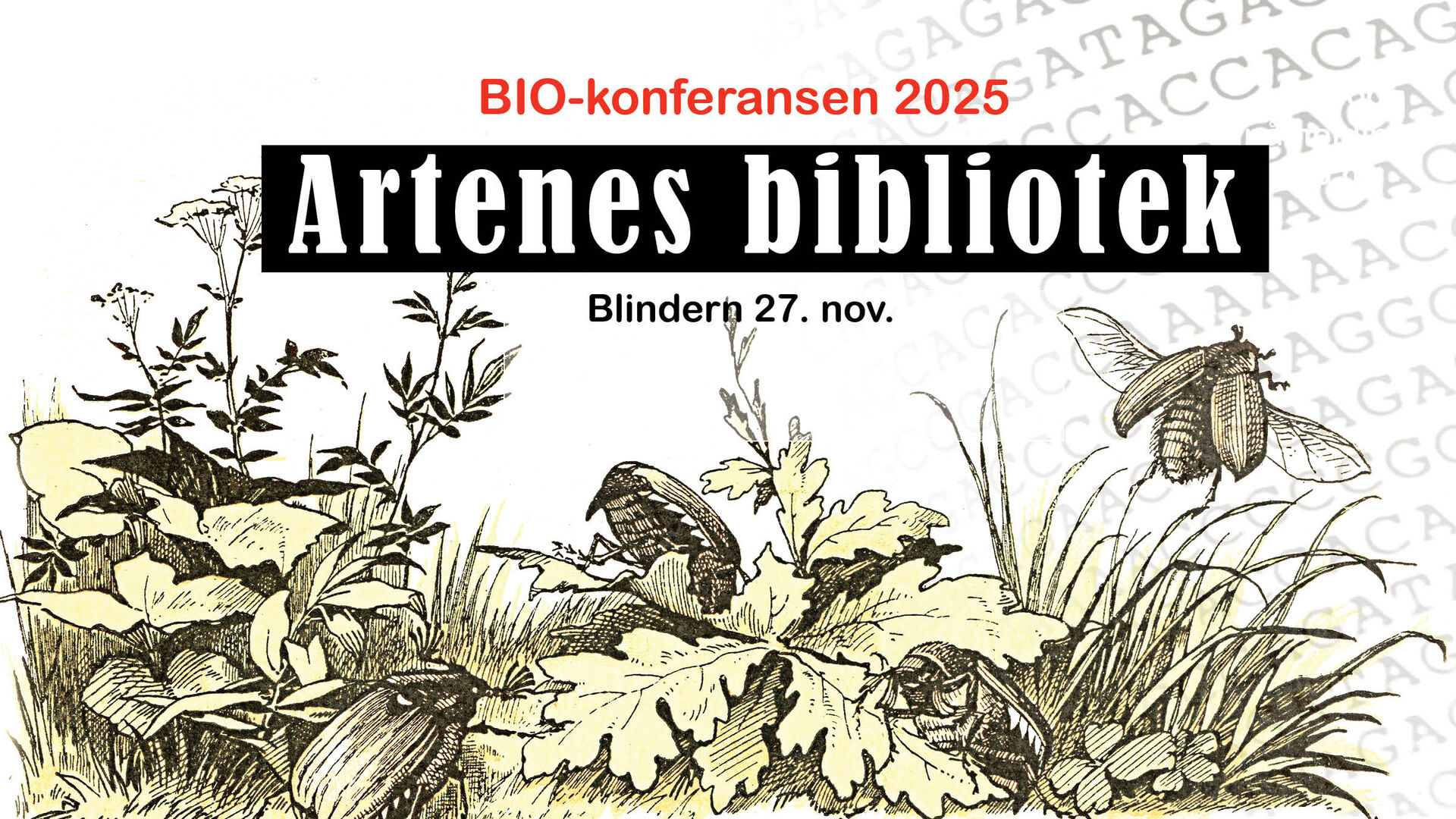 Illustrasjon av planter og insekter. Tekst på illustrasjon: BIO-konferansen 2025 Artenes bibliotek Blindern 27. nov.