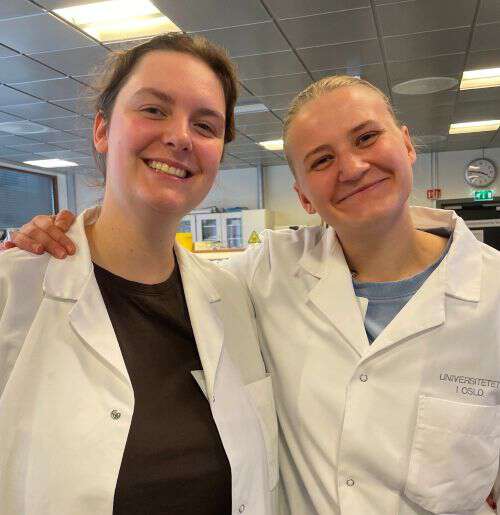 Dekorativt av studenter som jobber på lab