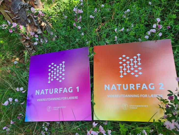 Kursbildene for Naturfag 1 og 2 i blomstereng