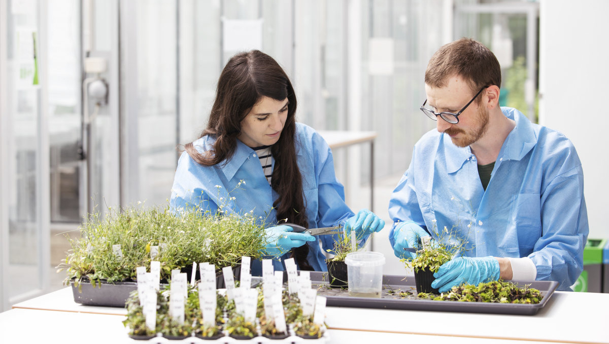 Two people in a plantlab.