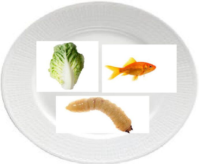 Bildet kan inneholde: ingrediens, servise, rektangel, bladgrønnsak, kokt.