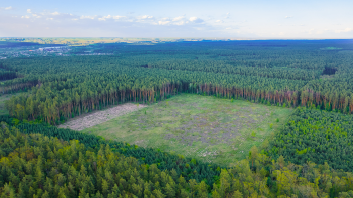 Bildet kan inneholde: himmel, plantesamfunn, naturlig landskap, sky, anlegg.
