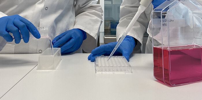 Studenter med labfrakker og hansker som øver på labteknikker.