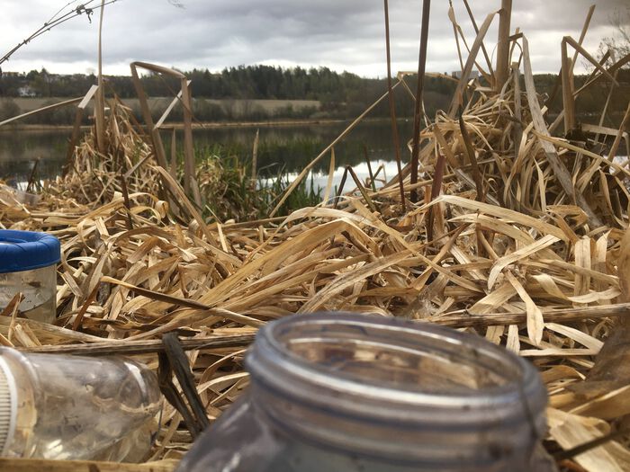 Glasskrukker i halm ved bredden av Østensjøvannet. 