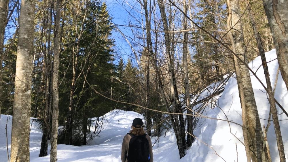 Kvinne i vinterskog