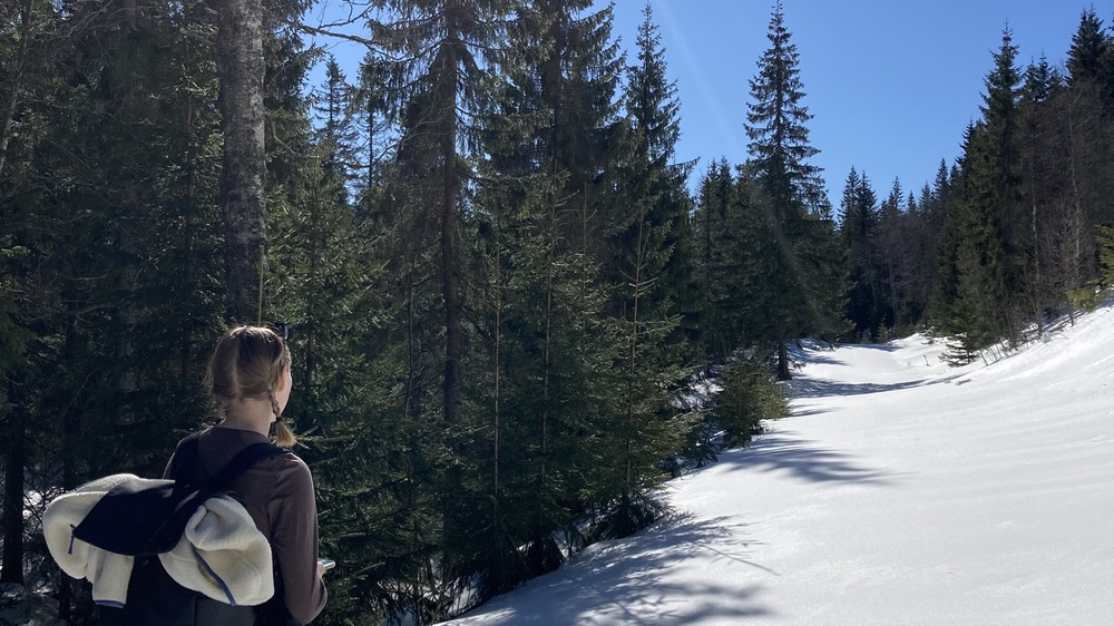 Kvinne i snødekt skog
